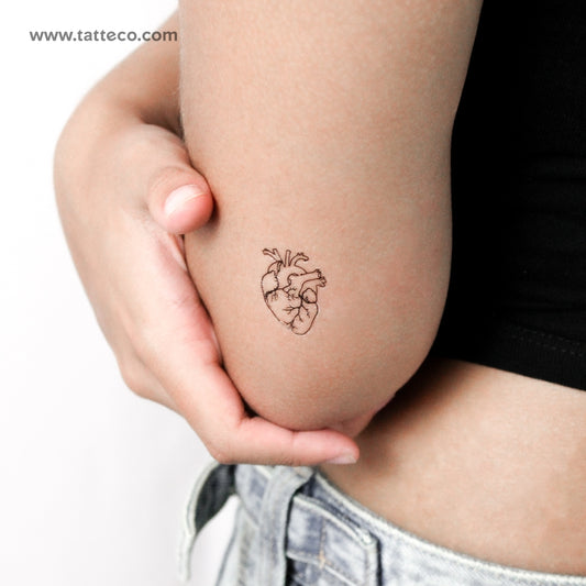Tatuaje temporal de corazón anatómico (juego de 3)