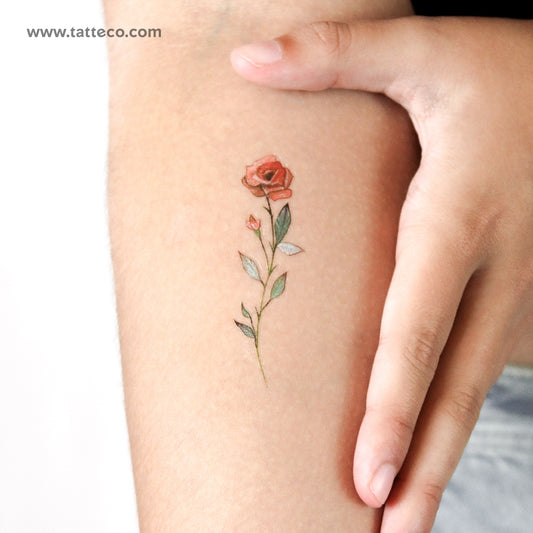 Tatuaje temporal de rosa roja en acuarela (juego de 3)