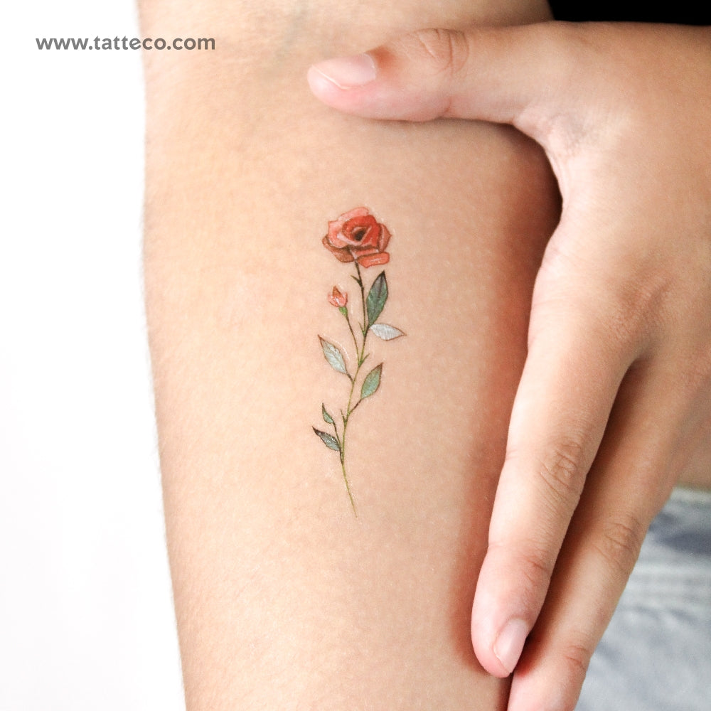 Watercolor Red Rose Temporary Tattoo - Set of 3