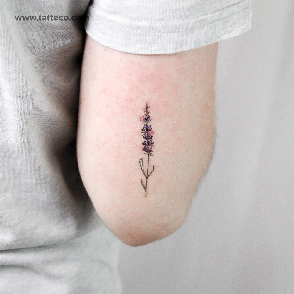 tattoo of lavender flower Watercolor Lavender Temporary Tattoo by Lena Fedchenko