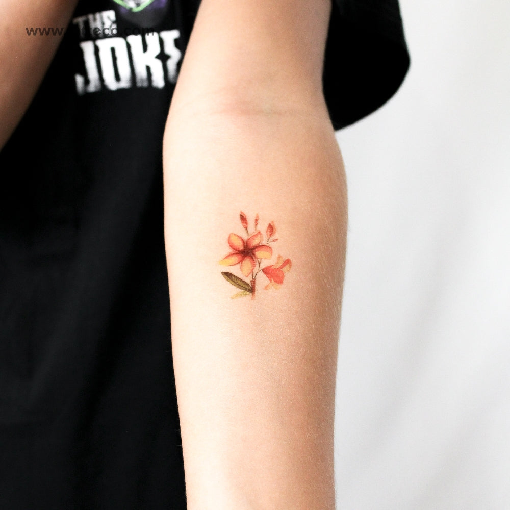 Watercolor Plumeria Temporary Tattoo - Set of 3
