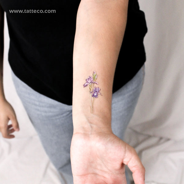 Illustrative Iris Temporary Tattoo - Set of 3