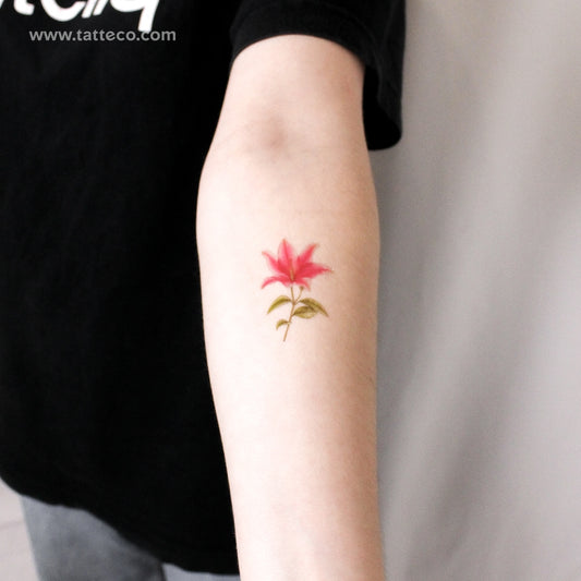 Tatuaje temporal ilustrativo de lirio - Juego de 3