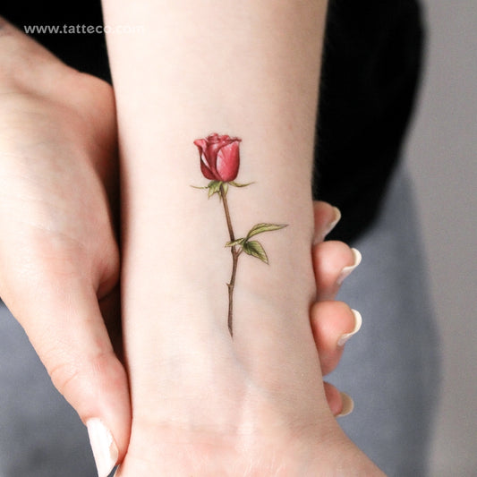 Tatuaje temporal ilustrativo de rosa roja (juego de 3)