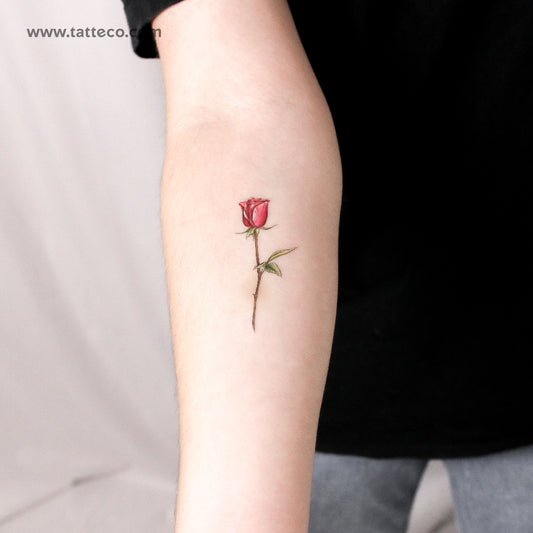 Tatuaje temporal ilustrativo de rosa roja (juego de 3)