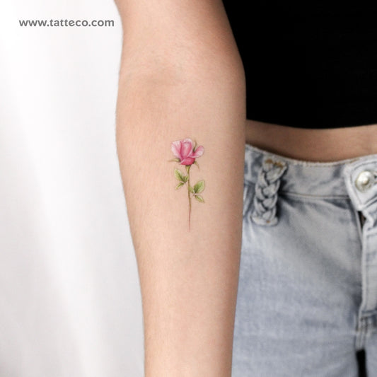 Tatuaje temporal ilustrativo de rosa rosa - Juego de 3