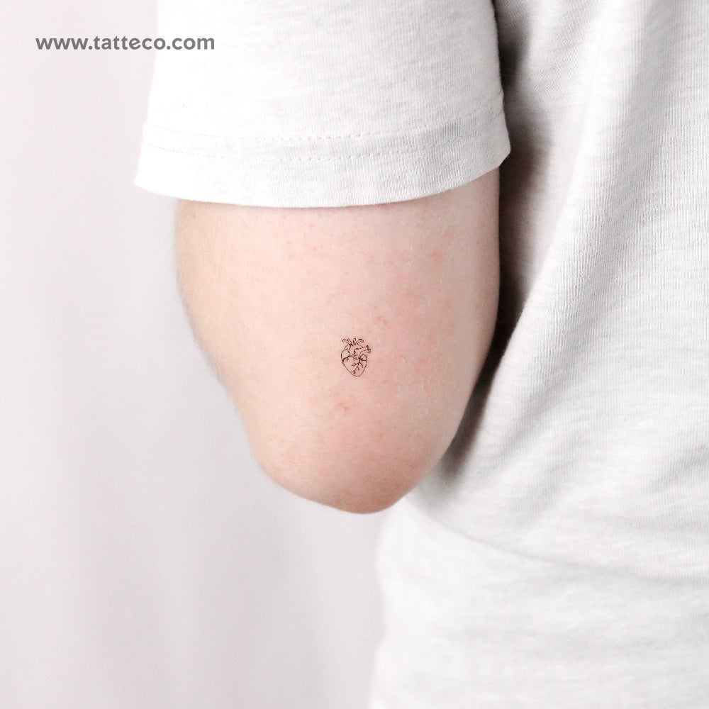 Little Anatomical Heart Temporary Tattoo - Set of 3