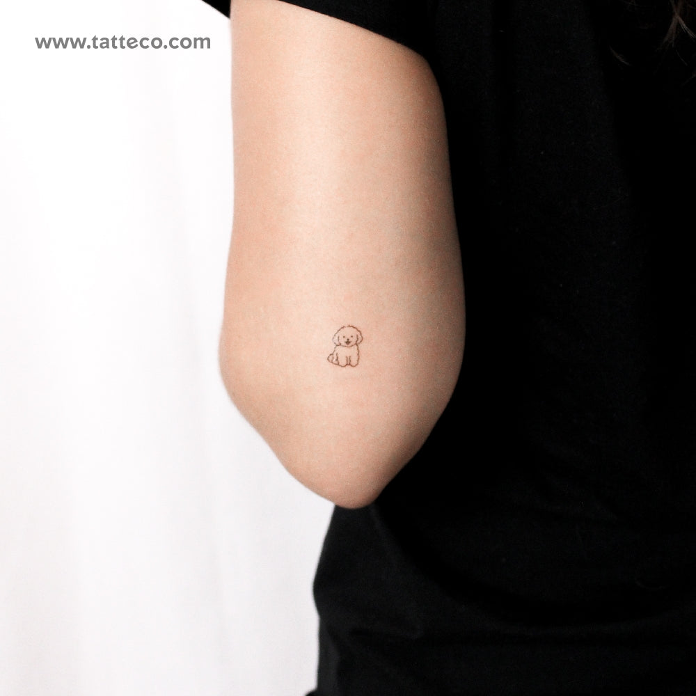 Maltipoo Temporary Tattoo - Set of 3