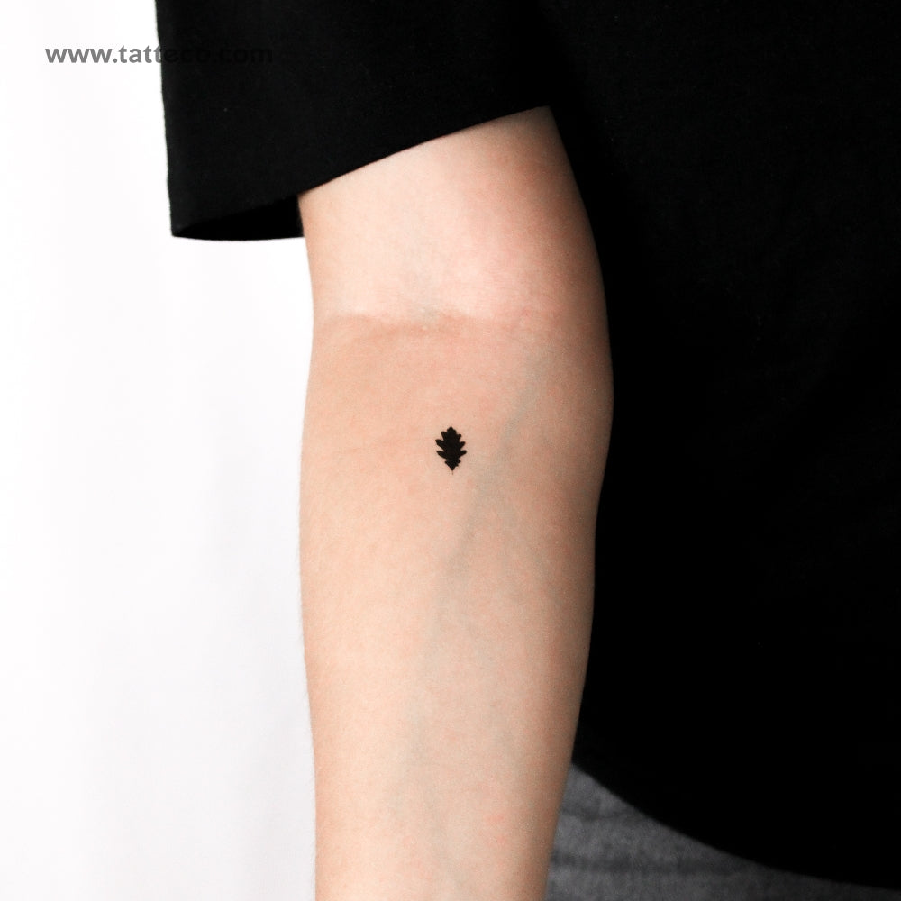 Tatuaje temporal de hoja de roble - Juego de 3
