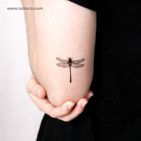 Illustrative Dragonfly Temporary Tattoo - Set of 3
