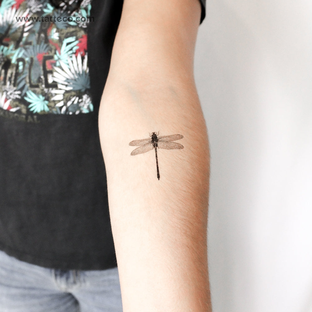 Illustrative Dragonfly Temporary Tattoo - Set of 3