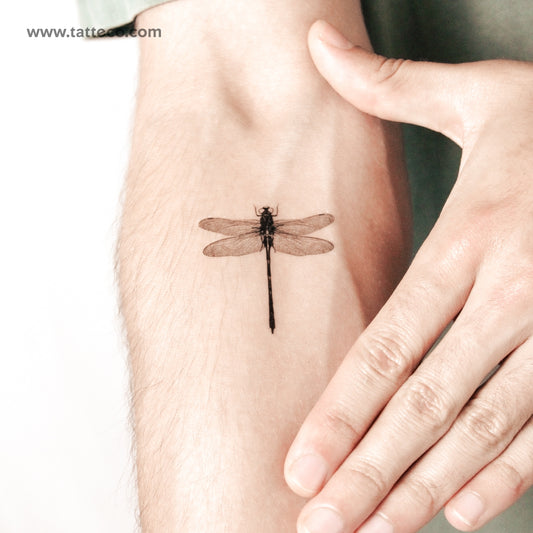 Tatuaje semipermanente de libélula - Juego de 2