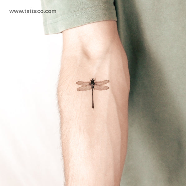 Dragonfly Semi-Permanent Tattoo - Set of 2