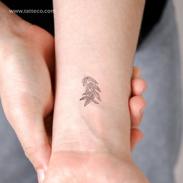 Coffea Plant Temporary Tattoo - Set of 3