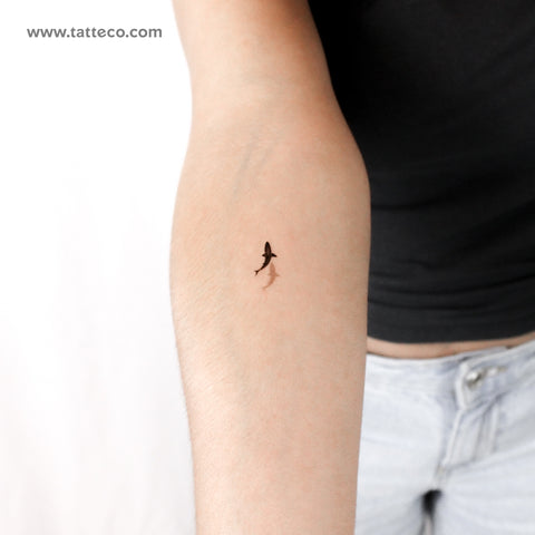 Little Shark And Shadow Temporary Tattoo - Set of 3