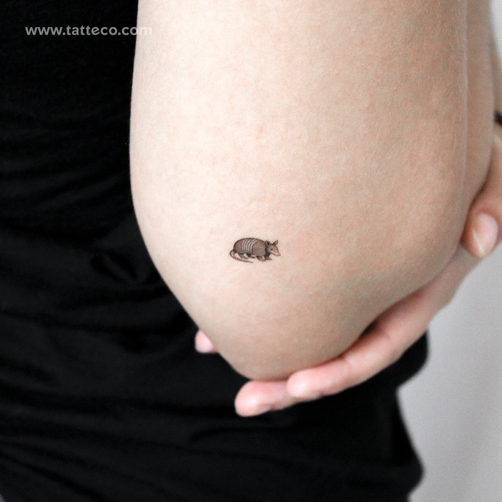 Tatuaje temporal de armadillo - Juego de 3