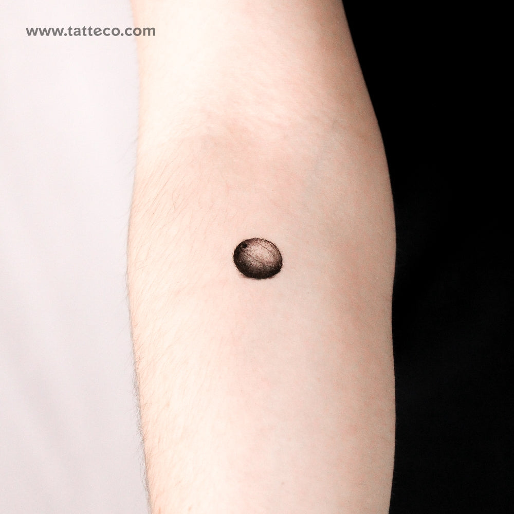 Tatuaje temporal de coco - Juego de 3