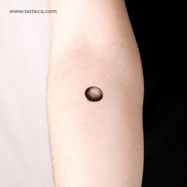 Coconut Temporary Tattoo - Set of 3