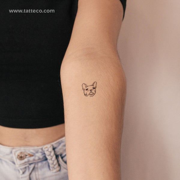 Little French Bulldog Semi-Permanent Tattoo - Set of 2