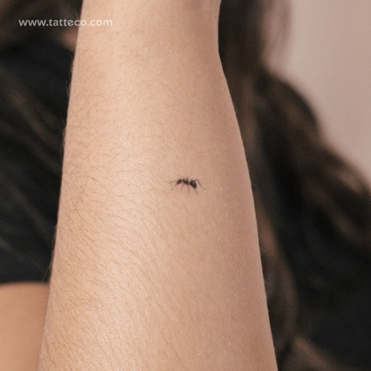 Tatuaje semipermanente de hormiga - Juego de 2