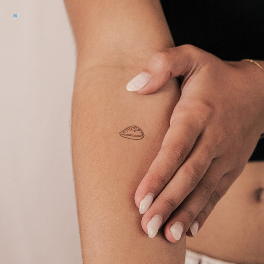 Cowrie Shell Semi-Permanent Tattoo - Set of 2
