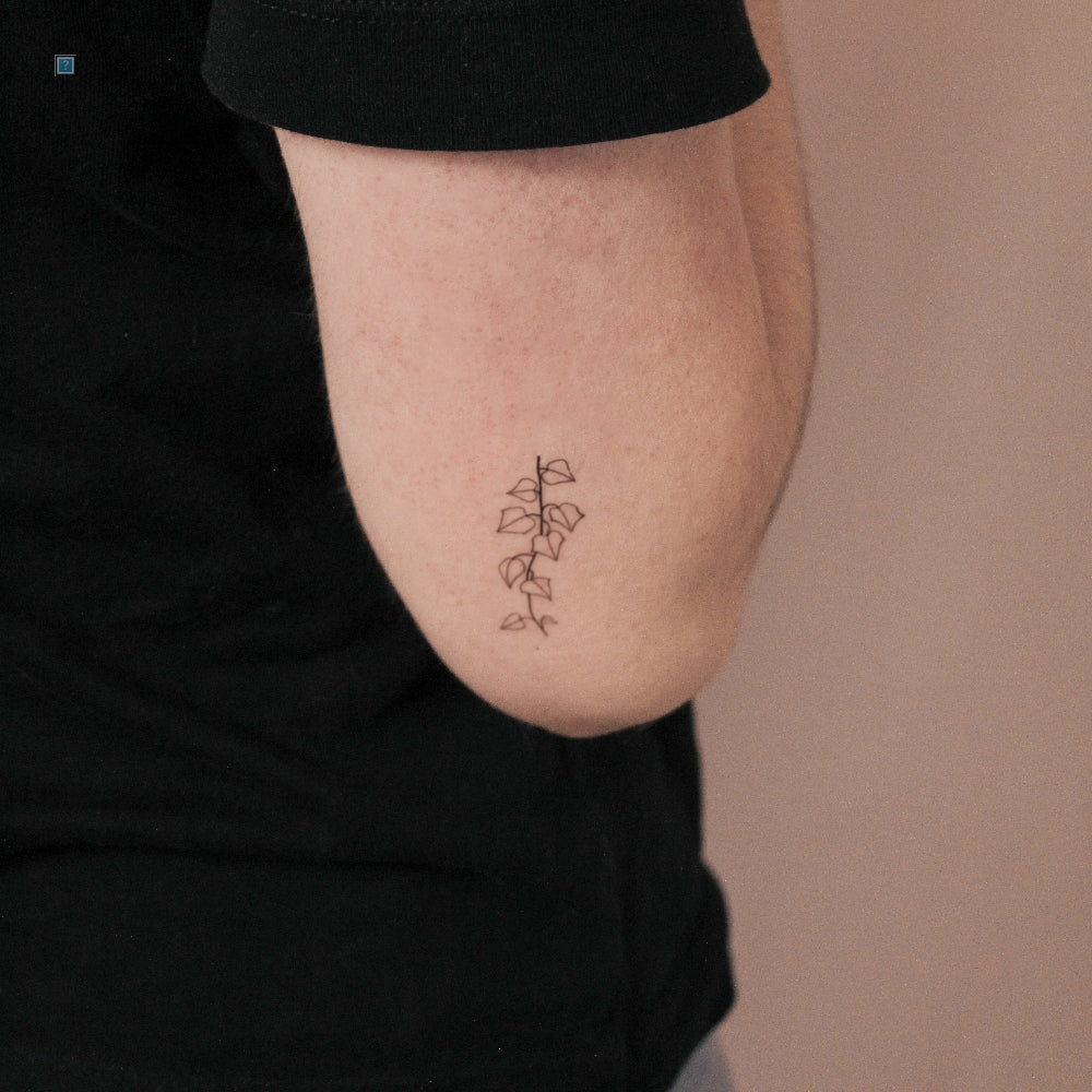 Ivy Plant Semi-Permanent Tattoo - Set of 2