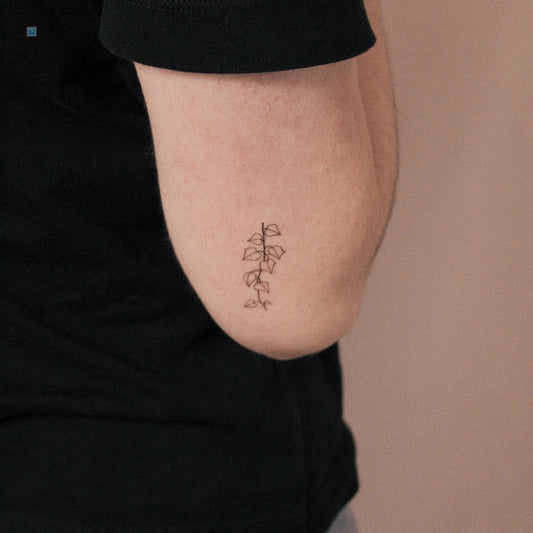 Ivy Plant Semi-Permanent Tattoo - Set of 2