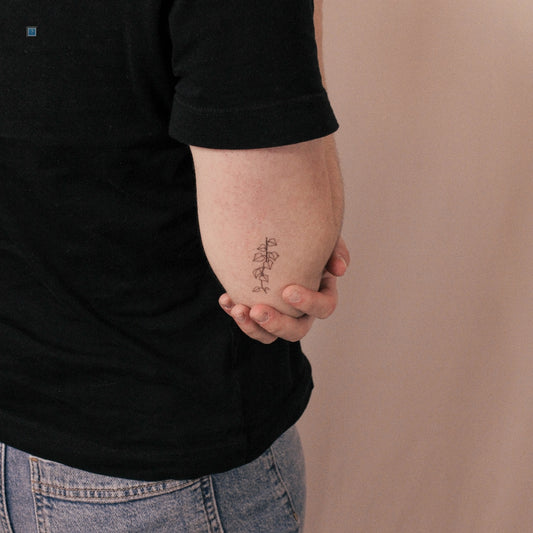 Ivy Plant Semi-Permanent Tattoo - Set of 2