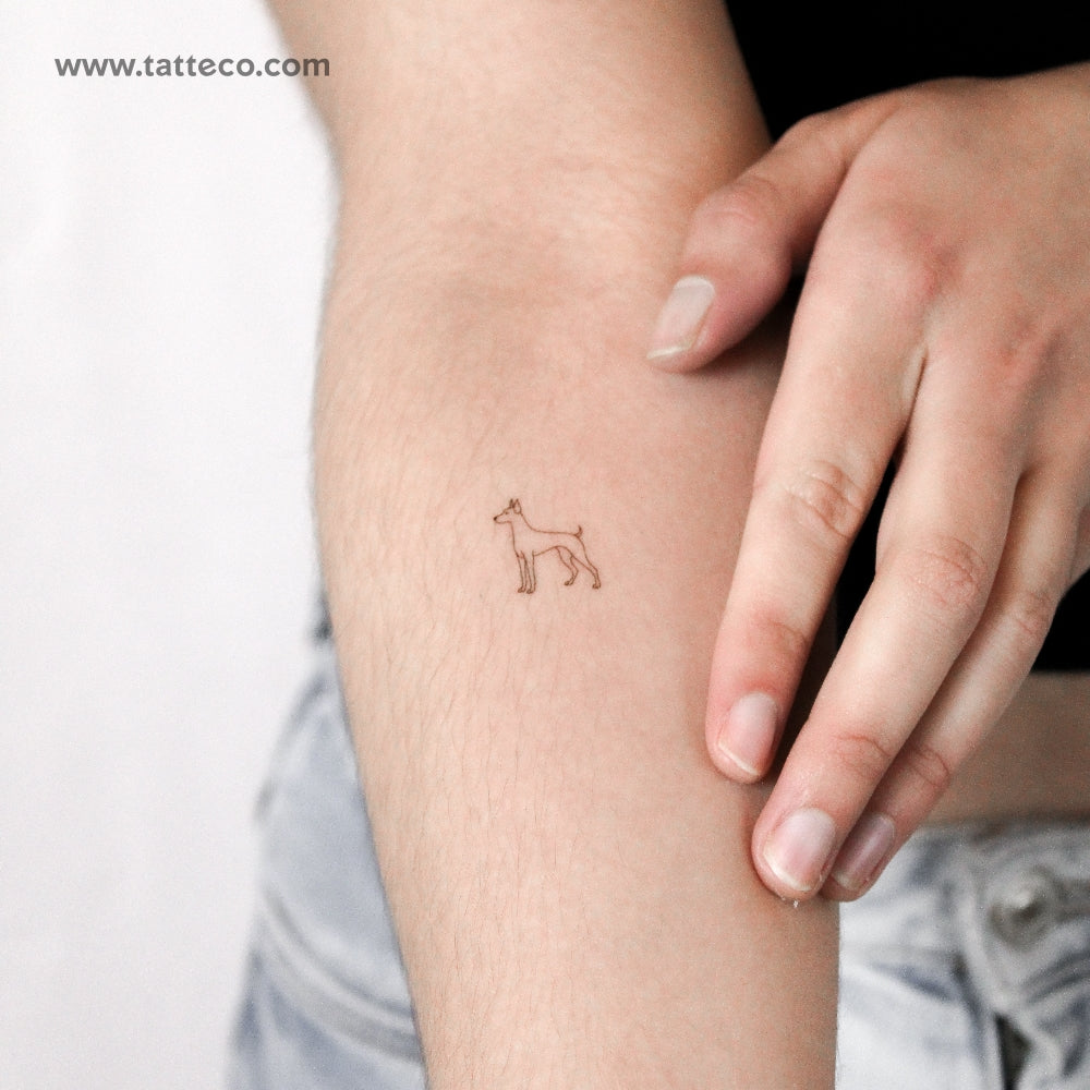 Fine Line Pinscher Temporary Tattoo - Set of 3