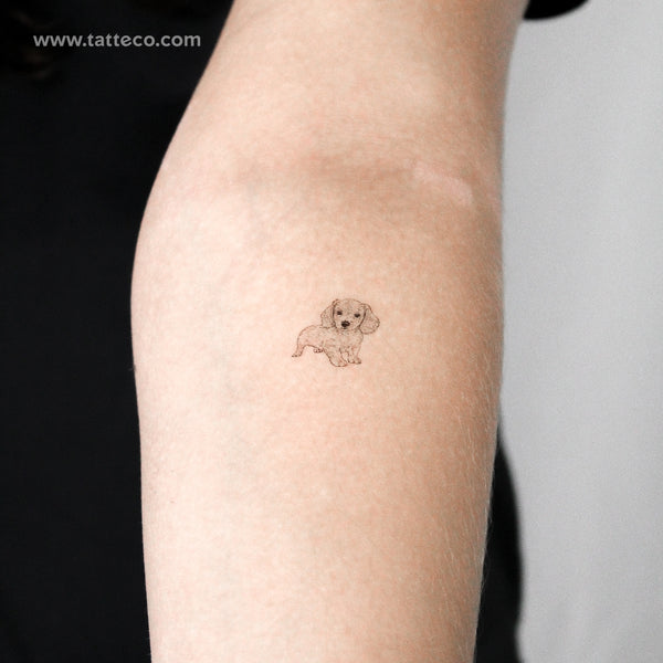 Wiener Puppy Temporary Tattoo - Set of 3