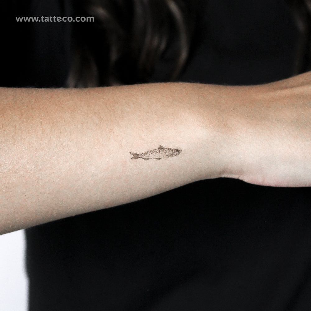 Sardine Temporary Tattoo - Set of 3