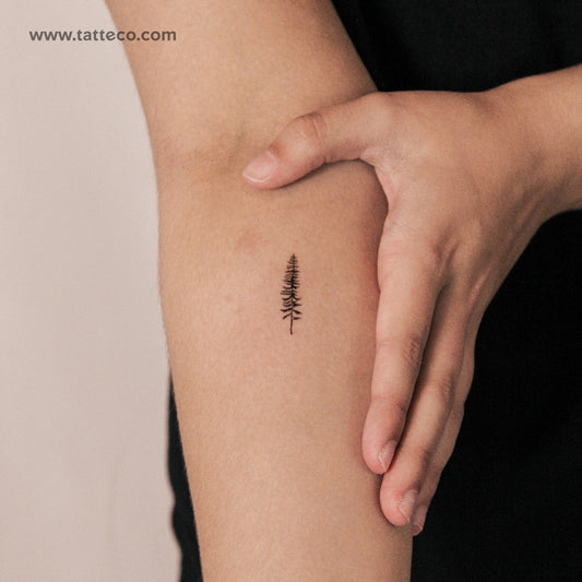 Tatuaje semipermanente de la constelación de puntos de Capricornio (juego de 2)