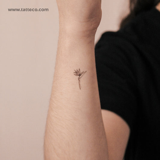 Tatuaje semipermanente de ave del paraíso (juego de 2)