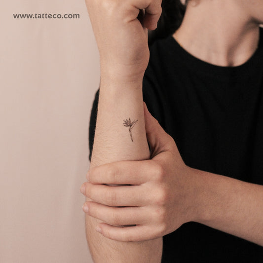 Tatuaje semipermanente de ave del paraíso (juego de 2)