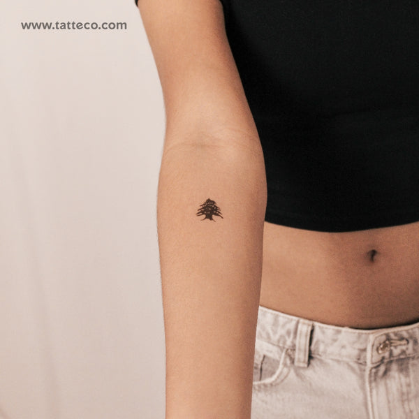 Tatuaje semipermanente de cedro - Juego de 2
