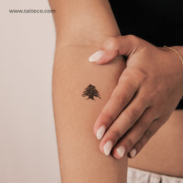 Tatuaje semipermanente de cedro - Juego de 2