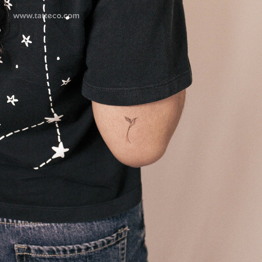 Tatuaje semipermanente de colibrí de cola larga (pequeño) - Juego de 2