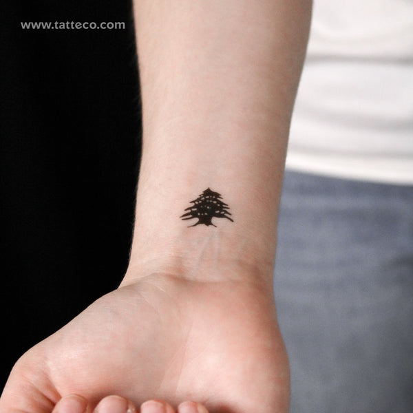 Tatuaje semipermanente de cedro - Juego de 2