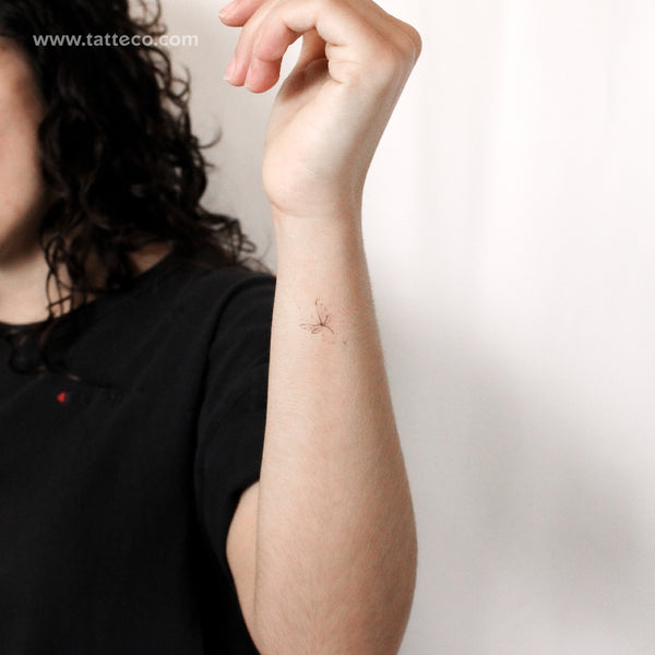 Dragonfly By Stefano Mazza Temporary Tattoo - Set of 3