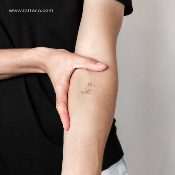 Cheetah By Stefano Mazza Temporary Tattoo - Set of 3