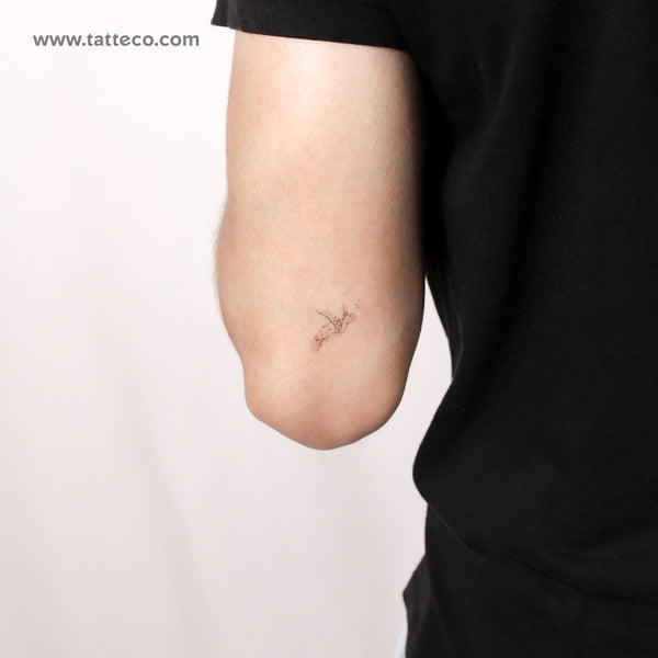 Turtle By Stefano Mazza Temporary Tattoo - Set of 3