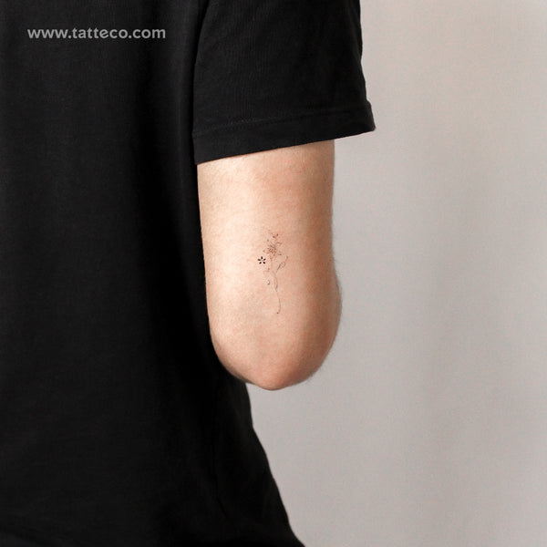 Lily By Stefano Mazza Temporary Tattoo - Set of 3