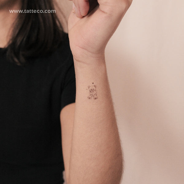 Teddy Bear By Stefano Mazza Temporary Tattoo - Set of 3