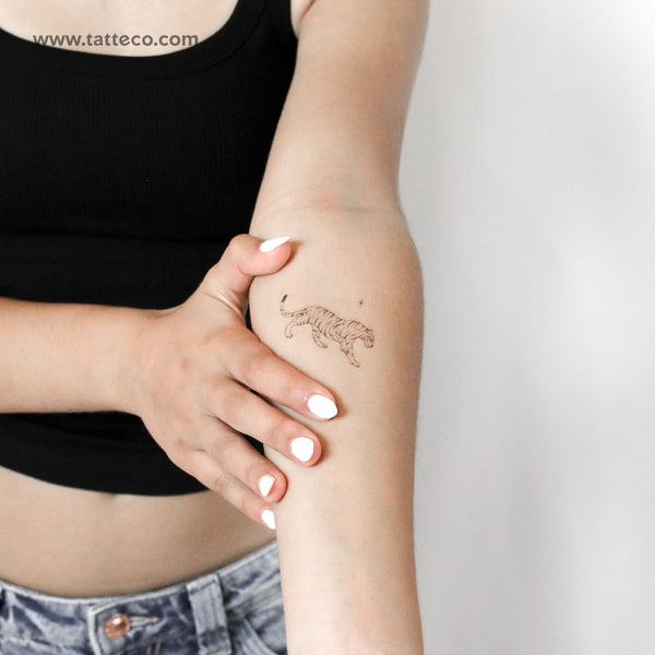 Tiger By Stefano Mazza Temporary Tattoo - Set of 3