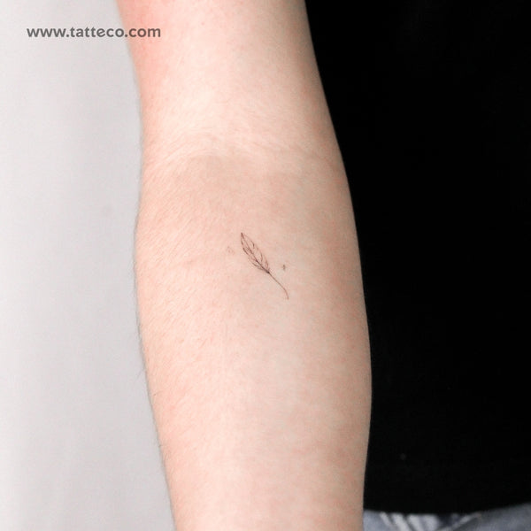 Feather By Stefano Mazza Temporary Tattoo - Set of 3
