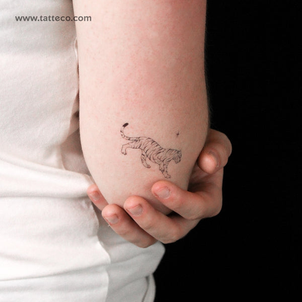 Tiger By Stefano Mazza Temporary Tattoo - Set of 3