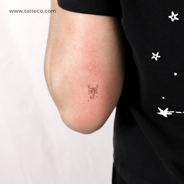 Little Scorpion By Stefano Mazza Temporary Tattoo - Set of 3