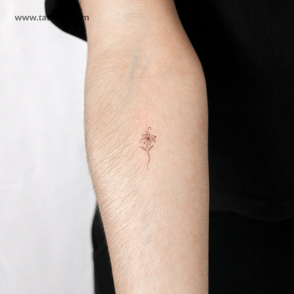 Lily Stargazer By Stefano Mazza Temporary Tattoo - Set of 3