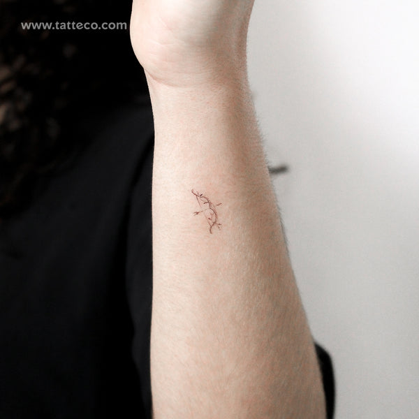 Little Bow and Arrow By Stefano Mazza Temporary Tattoo - Set of 3