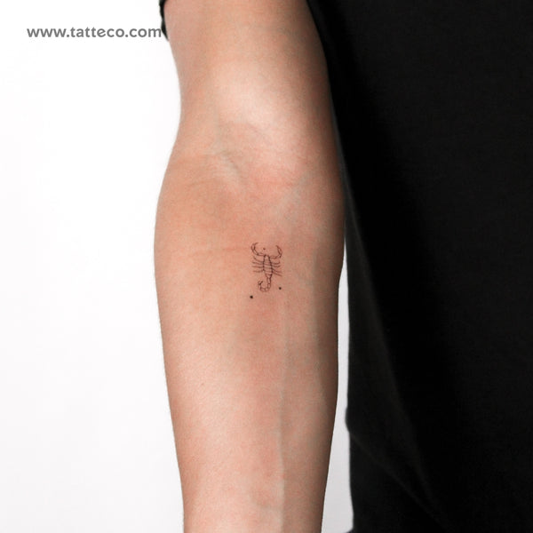 Scorpion By Stefano Mazza Temporary Tattoo - Set of 3